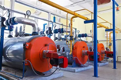 上海綠色制造展｜生物質天然氣制綠氨技術獲國際認證，實現全生命周期碳足跡追蹤